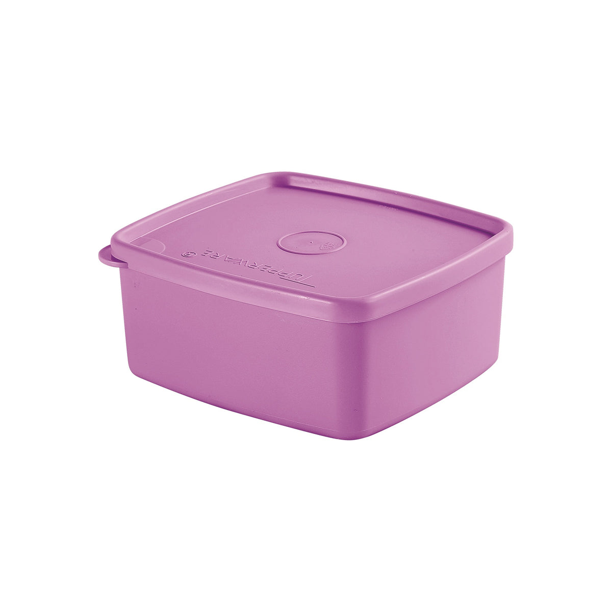Tupper hermético freezer 500 ml